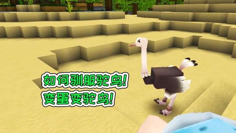 迷你世界怎么把鸵鸟