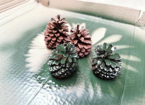 迷你世界怎么弄松果[图2]