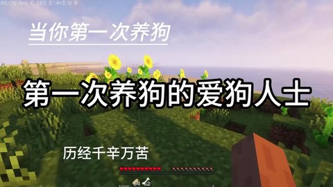 我的世界怎么让狗跟着[图2]